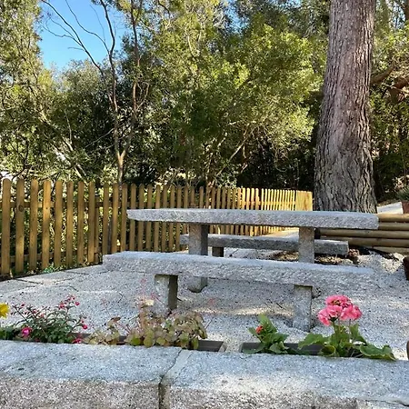 Hébergement de vacances Residenza Le Sughere